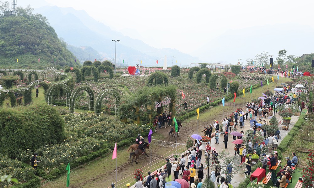 Du khách tập trung theo dõi các lượt đua ngựa.