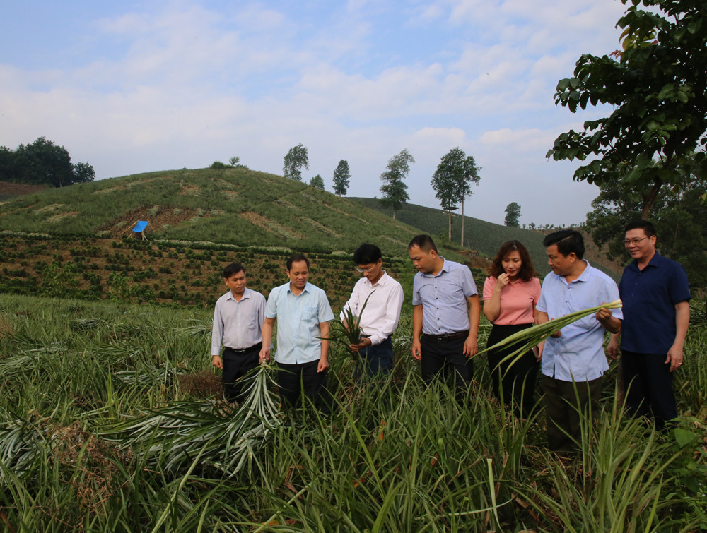 Xu thế tất yếu ảnh 2