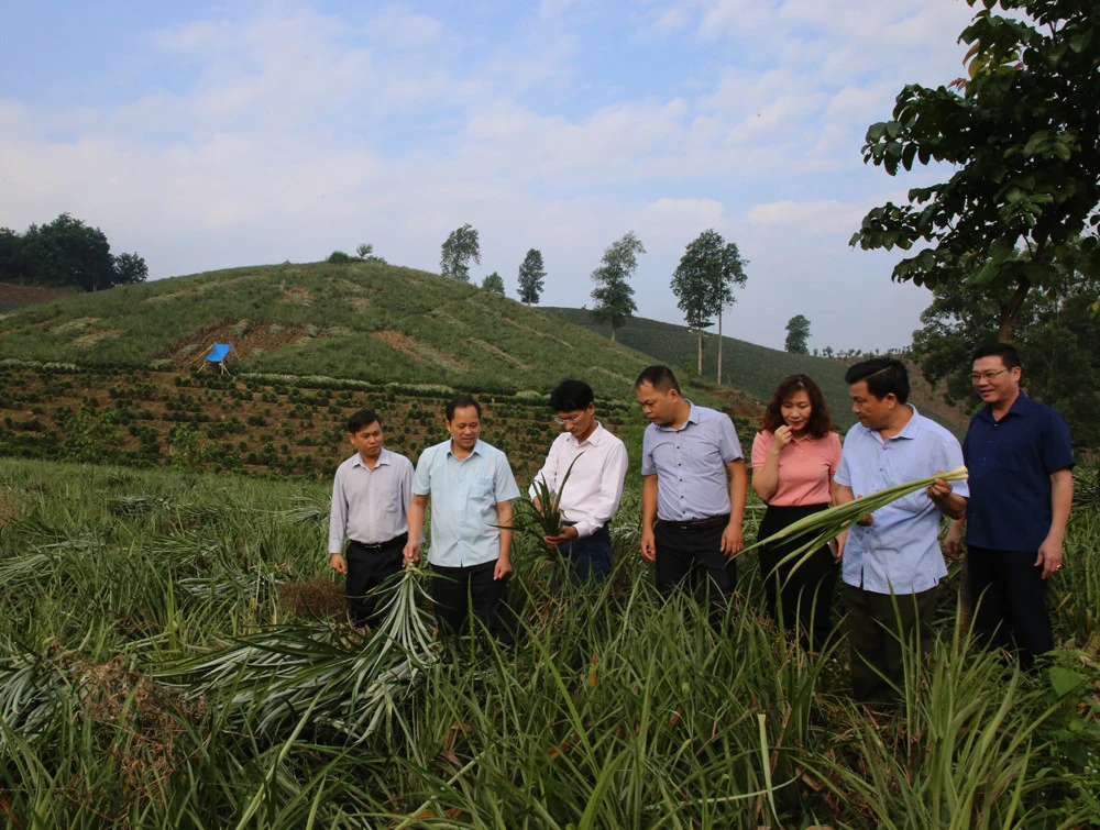 Xu thế tất yếu ảnh 2