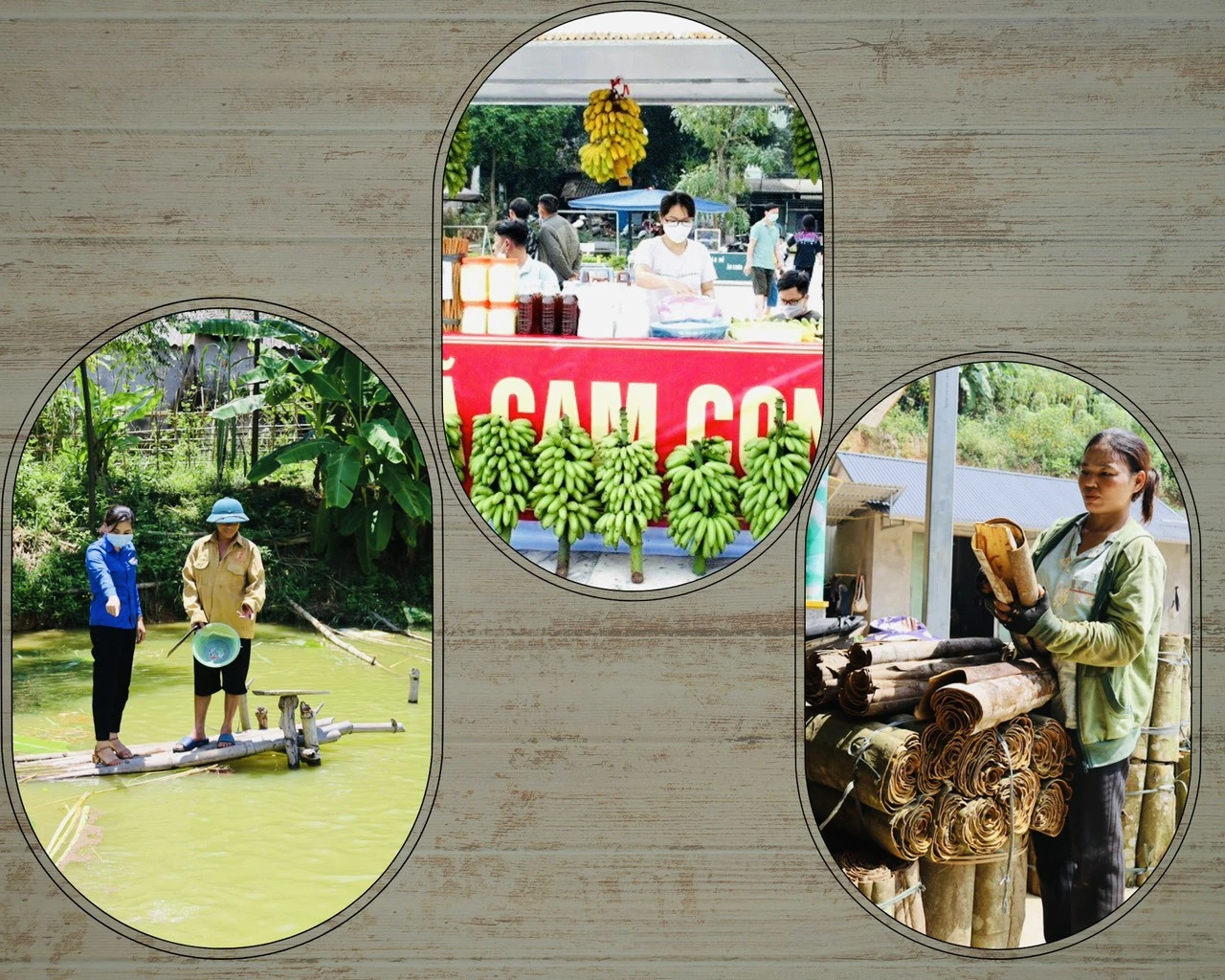 Nhân dân xã Cam Cọn năng động trong phát triển kinh tế. Nhân dân xã Cam Cọn năng động trong phát triển kinh tế.