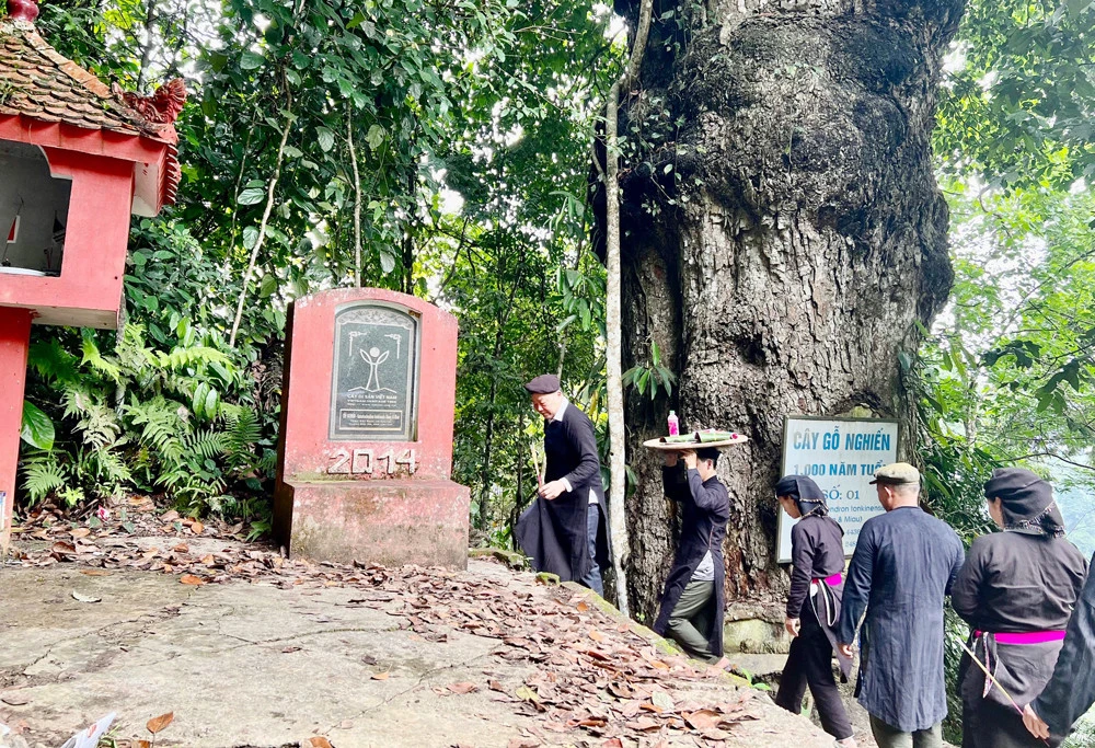 Người dân Cốc Ly cúng rừng cầu mưa thuận, gió hòa ảnh 2