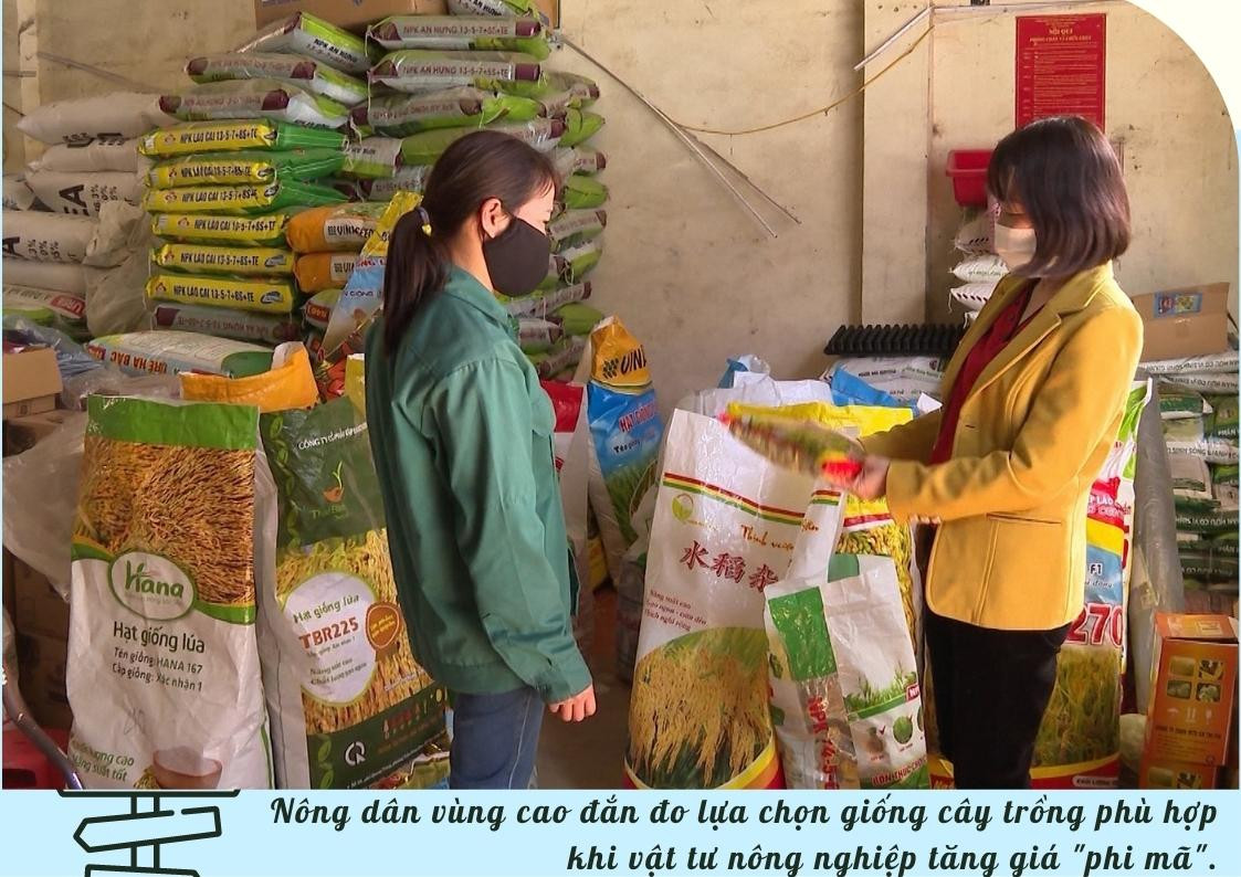 Vật tư nông nghiệp tăng giá: Thách thức mở ra cơ hội ảnh 3 Vật tư nông nghiệp tăng giá: Thách thức mở ra cơ hội ảnh 3