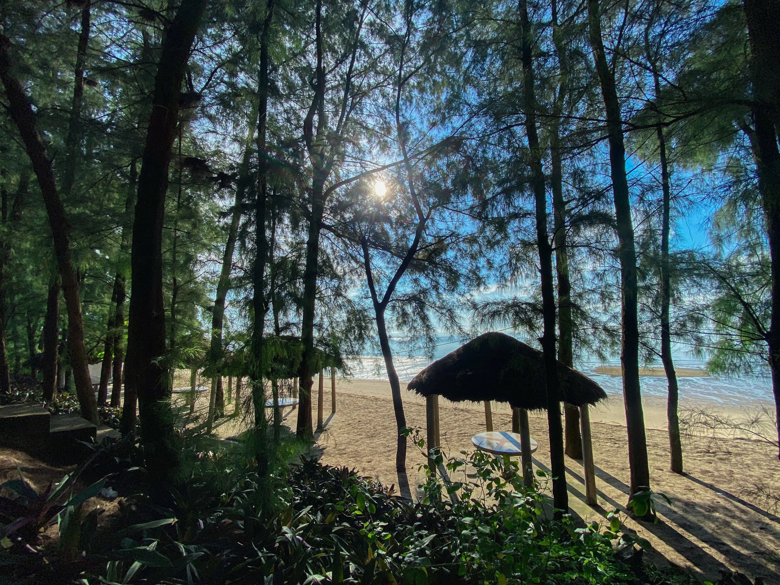 Một ngày làm ngư dân ở biển xanh Móng Cái: Săn hải sản ăn liền, đạp xe giữa hàng dương ảnh 3