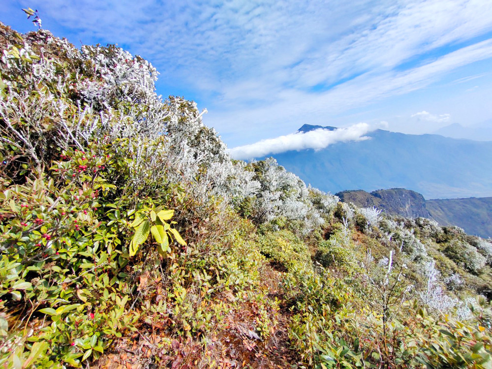 Du khách thích thú "săn" băng giá trên các đỉnh núi cao tại Bát Xát ảnh 10 Du khách thích thú "săn" băng giá trên các đỉnh núi cao tại Bát Xát ảnh 10
