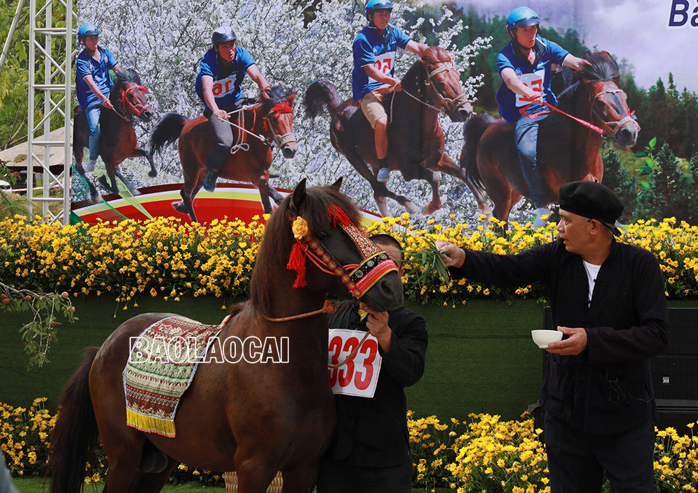 Biểu diễn múa ngựa giấy chào mừng khai mạc Festival. Thực hiện nghi lễ cúng cầu may mắn cho ngựa đua và nài ngựa.