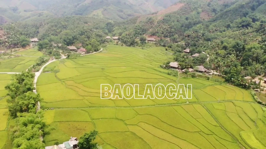 Ngày 1/10: Lần đầu tiên diễn ra Giải chạy bộ “Nghĩa Đô Xanh” Half-Marathon ảnh 1