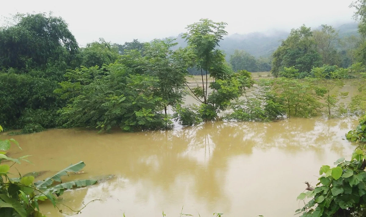 Mưa lũ gây thiệt hại tại nhiều địa phương trong tỉnh ảnh 6