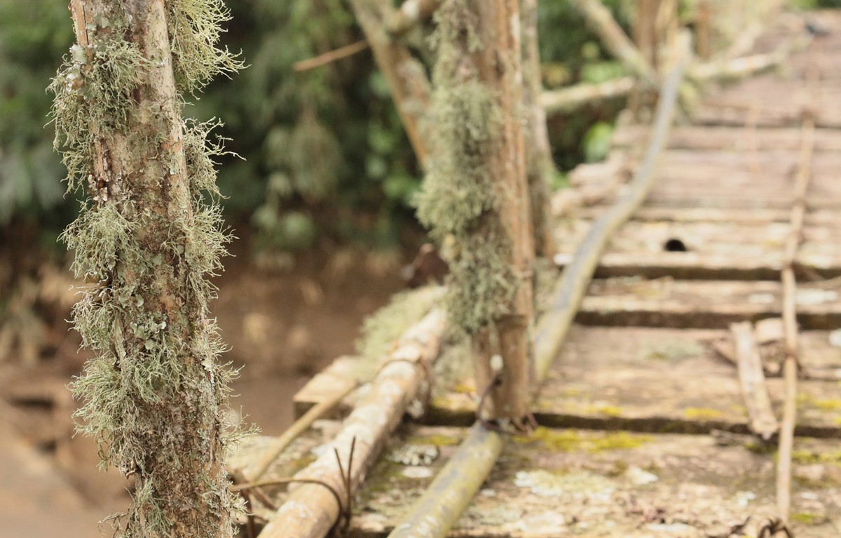 Dấu ấn thời gian trên cây cầu cổ.