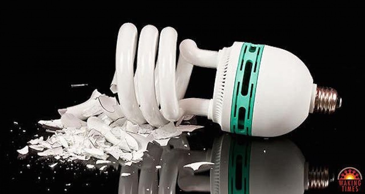 Thủy ngân, lưu huỳnh trong bóng đèn vỡ ảnh hưởng đến sức khỏe như thế nào? ảnh 1 Thủy ngân, lưu huỳnh trong bóng đèn vỡ ảnh hưởng đến sức khỏe như thế nào? ảnh 1