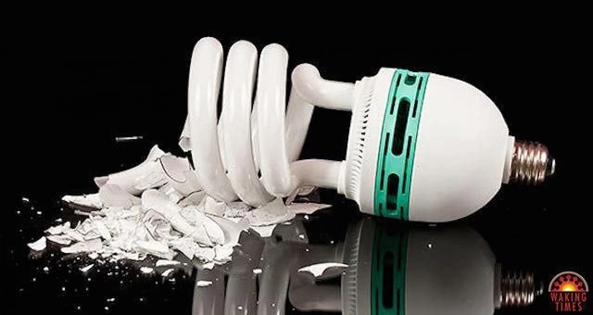 Thủy ngân, lưu huỳnh trong bóng đèn vỡ ảnh hưởng đến sức khỏe như thế nào? ảnh 1