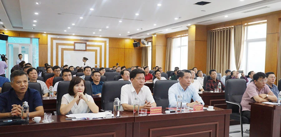 Bàn giải pháp nâng cao năng suất, chất lượng quế, chè huyện Bảo Yên ảnh 2