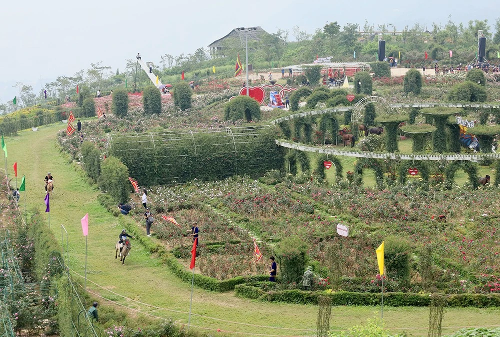 Chung kết đua ngựa diễn ra tại Vườn hồng Ga đi Cáp treo Fansipan sáng 7/5.