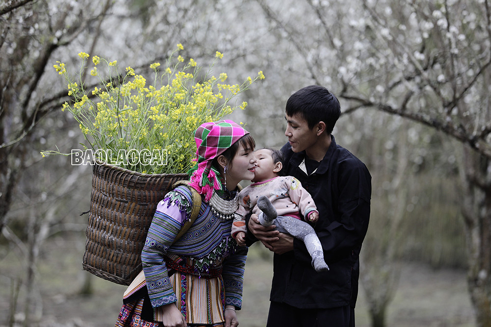 Khoảnh khắc hạnh phúc của hai vợ chồng trẻ người Mông vùng cao Si Ma Cai. Gia đình người Mông Bát Xát trên đường xuống chợ. Khoảnh khắc hạnh phúc của đôi vợ chồng trẻ người Mông Sa Pa. Hạnh phúc bình dị của vợ chồng người Mông Bắc Hà Hạnh phúc bình dị của người Hà Nhì ở xã Ý TÝ , xã Nậm Pung, huyện Bát Xát Hình ảnh đẹp của vợ chồng người Mông xã A Lù (Bát Xát). Ngày mới hạnh phúc của gia đình người Giáy tại Sa Pa.