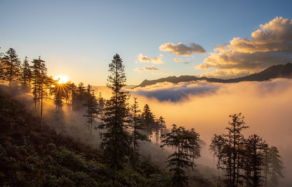 Lung linh “biển mây” Mường Hoa ảnh 6