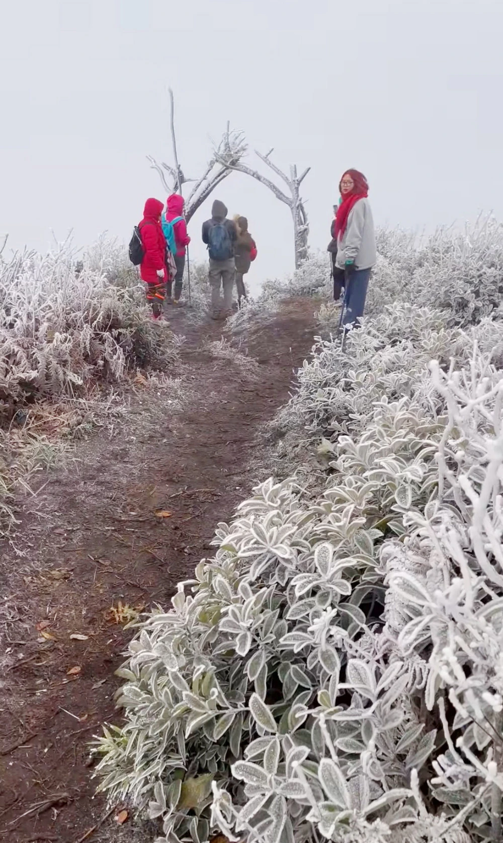 Du khách thích thú "săn" băng giá trên các đỉnh núi cao tại Bát Xát ảnh 2
