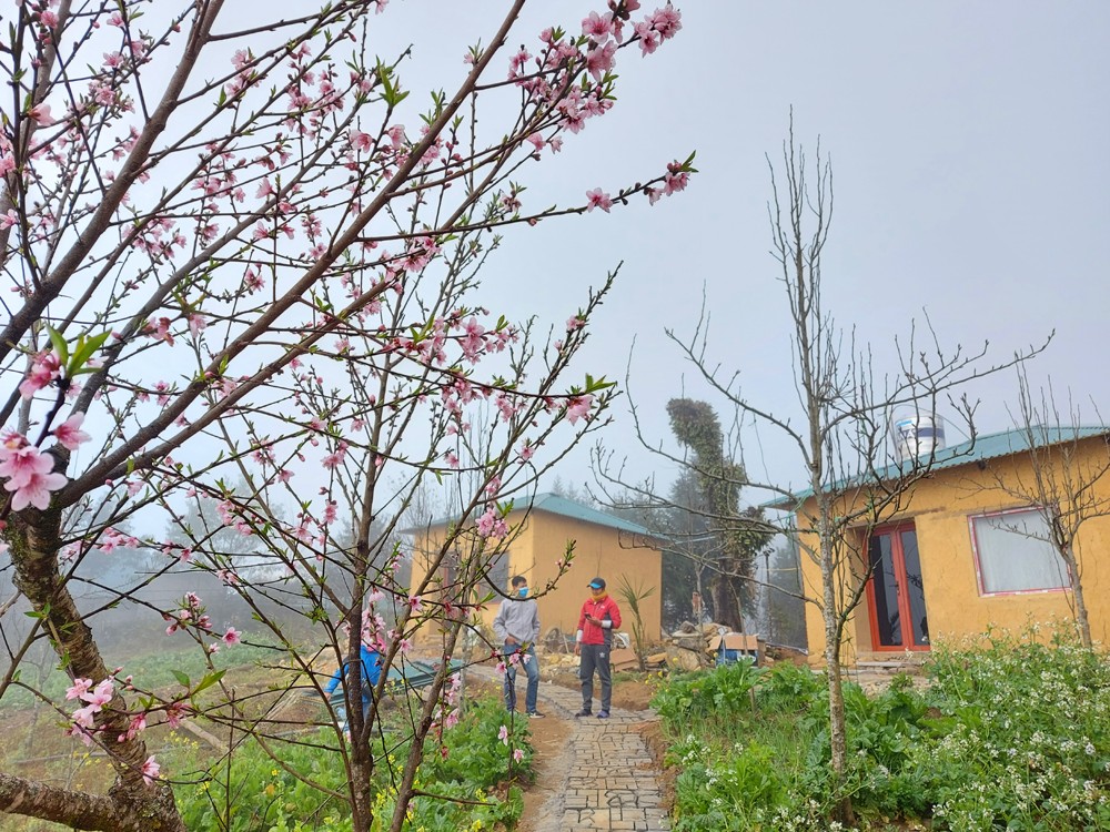 Hai ngày qua, Y Tý chìm trong sương mù, nhưng hoa đào bung nở rực rỡ và khung cảnh mờ ảo vẫn hấp dẫn du khách đến với vùng đất này. Nhiều đoàn du khách từ các tỉnh miền xuôi lên Y Tý du lịch, thích thú dừng xe bên đường để trải nghiệm cảnh mây bay. Các bạn trẻ chụp ảnh lưu niệm trong những ngày đầu xuân tại Y Tý. Nhiều homestay ở Y Tý đã chật kín du khách trong ngày mùng 4 Tết. Dịp tết Nguyên đán cũng là thời điểm nhiều bạn trẻ, gia đình đồng bào Mông đến “sân bay” Phìn Hồ chơi Tết, du xuân. Do tình hình dịch bệnh Covid -19 diễn biến phức tạp, nên chính quyền xã Y Tý cắm biển không tụ tập đông người và cử lực lượng công an, dân quân trực tại các lối vào “sân bay” Phìn Hồ. Du khách lên Y Tý thích thú chụp ảnh cùng những cô sơn nữ Hà Nhì trang phục rực rỡ. Đón Tết và du xuân ở "thiên đường mây" Y Tý để lại nhiều kỷ niệm đẹp với du khách bốn phương.
