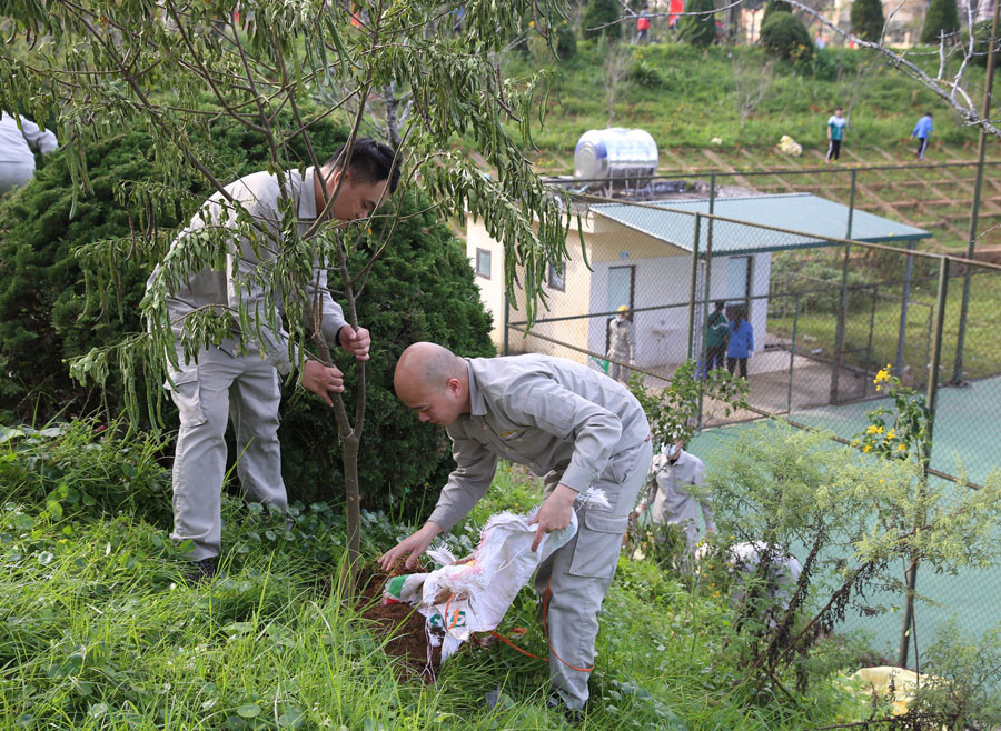 Sa Pa - thành phố trong mây, chỉ trồng cây, không xả rác ảnh 3 Sa Pa - thành phố trong mây, chỉ trồng cây, không xả rác ảnh 3