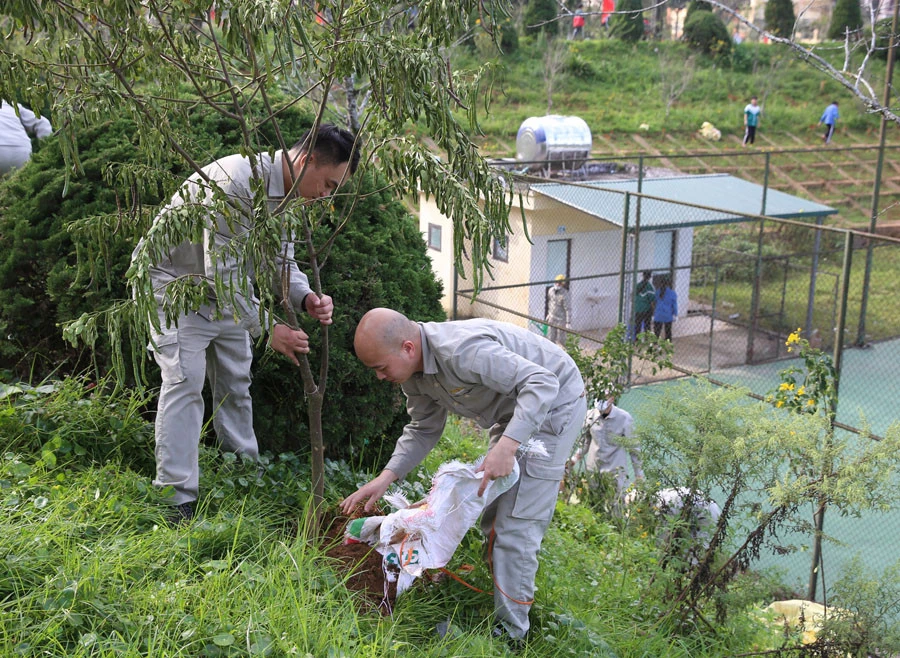 Sa Pa - thành phố trong mây, chỉ trồng cây, không xả rác ảnh 3