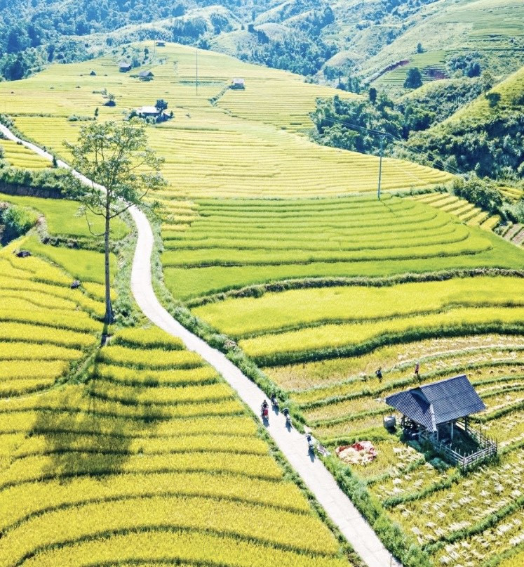 Mùa no ấm trên núi cao ảnh 1