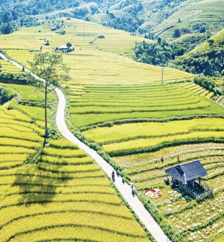 Mùa no ấm trên núi cao ảnh 1