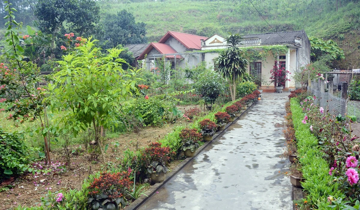 Các cấp hội phụ nữ huyện Bảo Thắng tích cực thực hiện “Mô hình 3 đẹp” (đẹp vườn, đẹp nhà, đẹp ngõ).