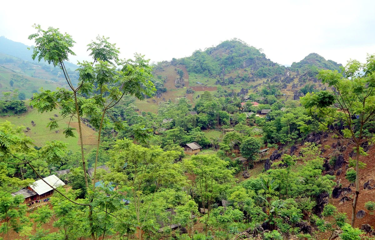 Vì các hộ ở Pờ Sì Ngài sinh nhiều nên có hoàn cảnh rất khó khăn.