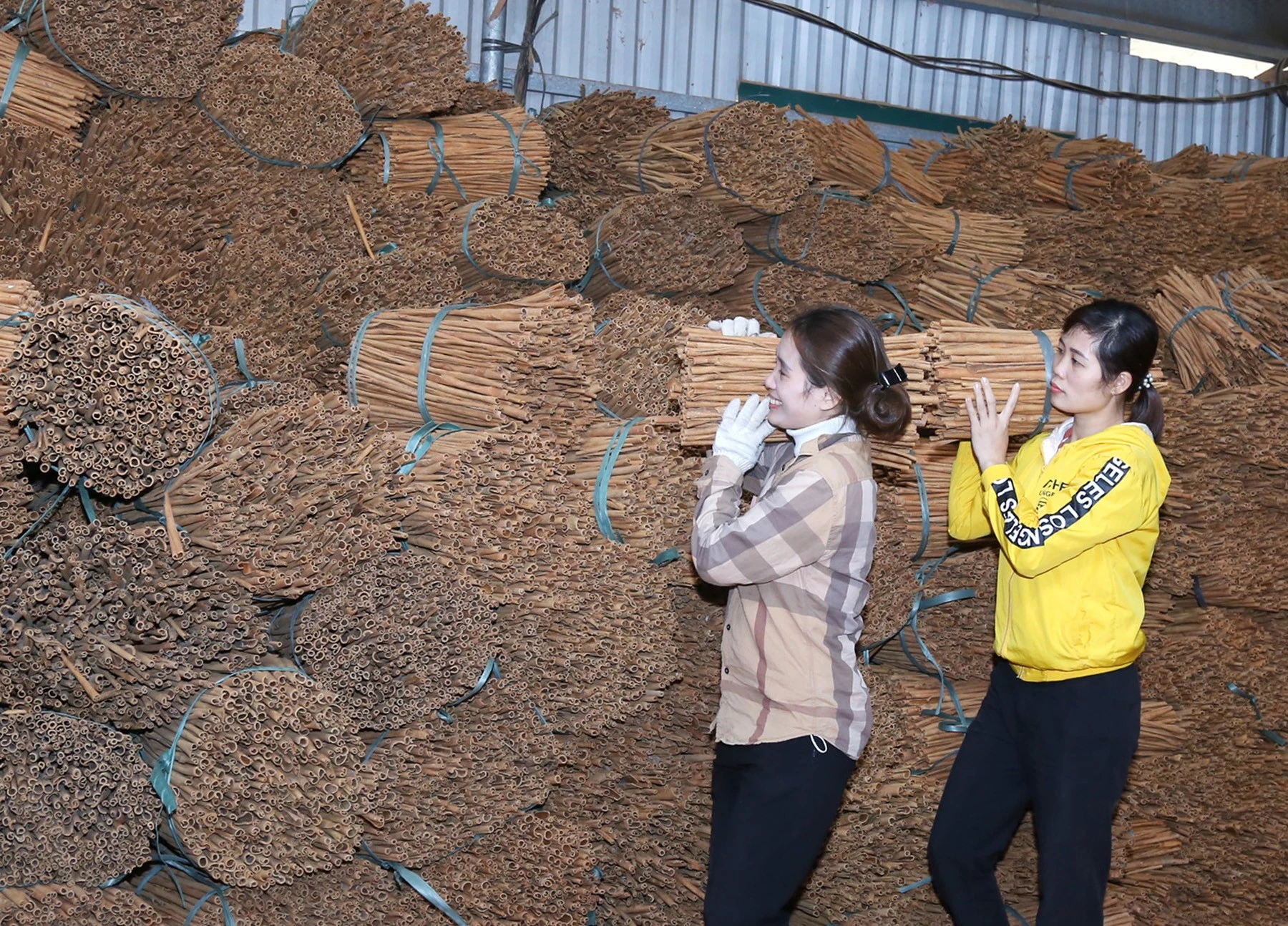 Bảo Thắng: Phát huy vai trò của HTX trong xây dựng nông thôn mớí ảnh 2