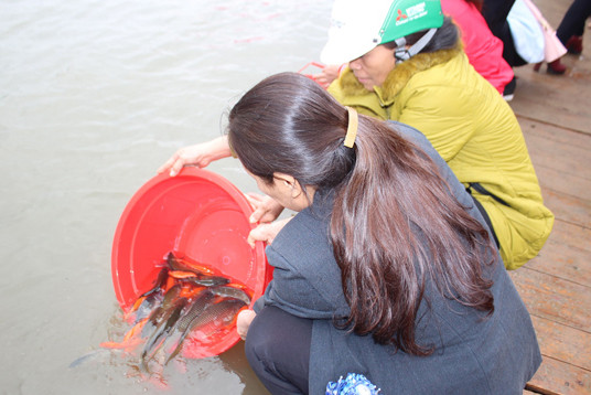 Ngăn chặn tình trạng sử dụng điện, ngư cụ cấm để khai thác thủy sản ảnh 1