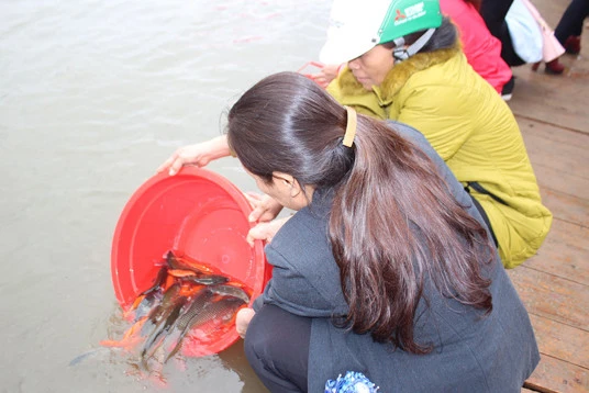 Ngăn chặn tình trạng sử dụng điện, ngư cụ cấm để khai thác thủy sản ảnh 1