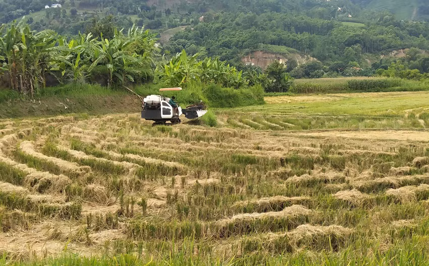 Nông dân xã Bảo Nhai đưa máy vào phục vụ sản xuất.