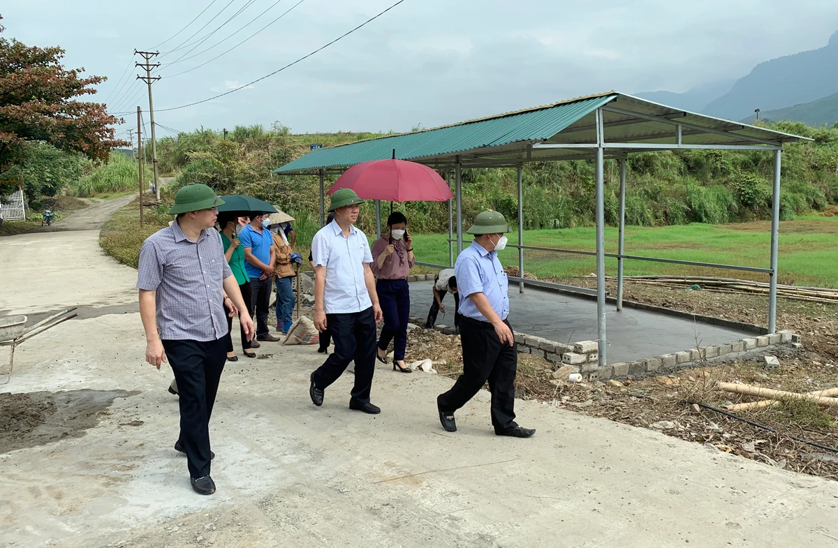 Đoàn công tác kiểm tra hiện trường tại xã Phú Nhuận, huyện Bảo Thắng.