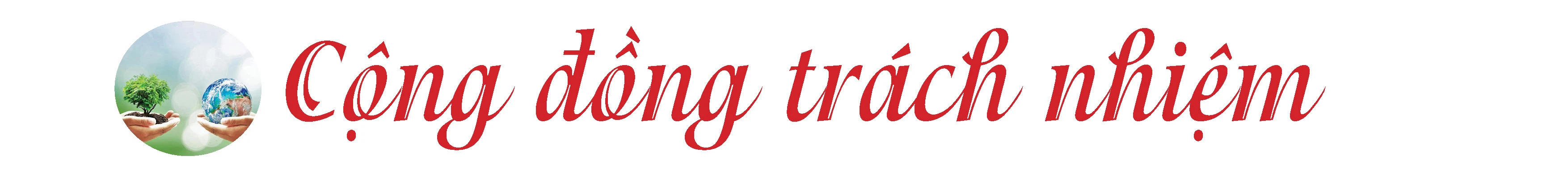 Những Chủ nhật xanh ảnh 7