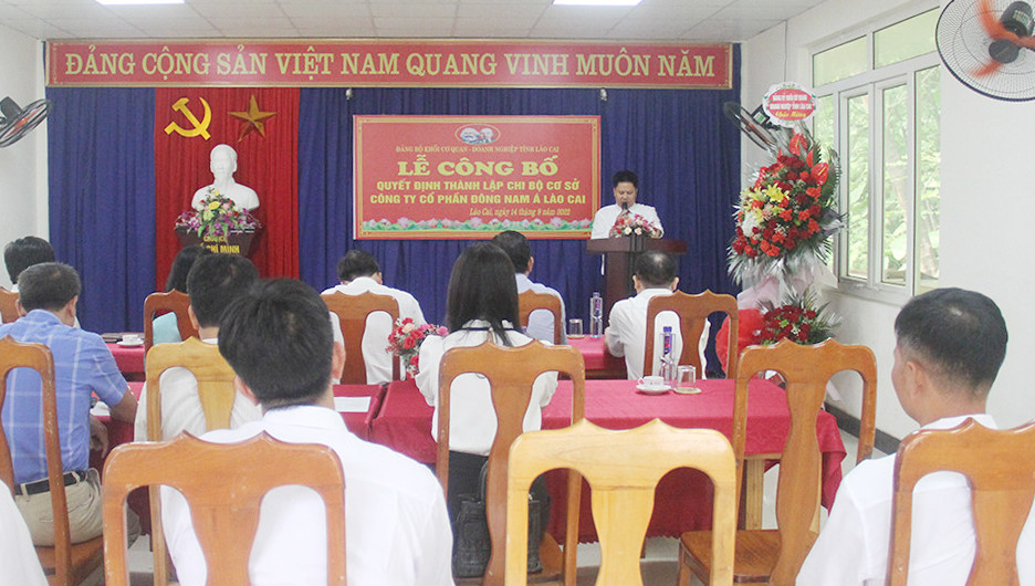 Thành lập Chi bộ Công ty Cổ phần Đông Nam Á Lào Cai ảnh 1