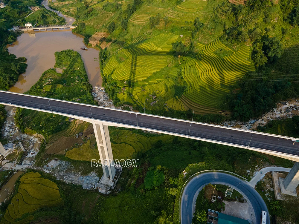 Cầu được xây dựng bằng bê tông cốt thép, bề mặt rộng 14m với 4 làn xe, 5 nhịp liên tục, trong đó, nhịp dài nhất là 132m, được thi công bằng phương pháp dầm hộp đúc hẫng cân bằng. Sau khi tuyến đường này hoàn thành sẽ tạo thuận lợi cho việc đi lại, giao thương, góp phần thúc đẩy phát triển kinh tế - xã hội của tỉnh Lào Cai và khu vực Tây Bắc. Cầu Móng Sến được khởi công từ đầu năm 2020, đến nay các hạng mục đã và đang dần hoàn thành. Do bắc qua thung lũng, lại có độ cao gần 100m nên công trường cầu Móng Sến thường xuyên có mây mù bao phủ, cây cầu như đi xuyên vào mây. Đứng trên cầu phóng tầm mắt ra xa theo nhiều hướng là những thửa ruộng bậc thang tuyệt đẹp. Đây là cây cầu cạn vượt địa hình nối từ khu vực chân dốc lên đỉnh dốc ba tầng - đoạn đường khó đi, quanh co, nguy hiểm nhất trong cung đường từ thành phố Lào Cai lên thị xã Sa Pa. Đến thời điểm hiện tại, công trình đã hoàn thành 99% khối lượng công việc, còn một số hạng mục cuối cùng trước khi đi vào hoạt động như hệ thống đèn chiếu sáng, vạch sơn kẻ đường và thảm đường dẫn 2 bên đầu cầu. Cây cầu cạn cao nhất Việt Nam, có ý nghĩa “then chốt” trong xây dựng tuyến đường nối cao tốc Nội Bài – Lào Cai đến Khu du lịch quốc gia Sa Pa.