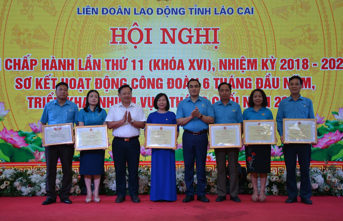 Tiếp tục đẩy mạnh phát triển đoàn viên, thành lập công đoàn cơ sở ảnh 3