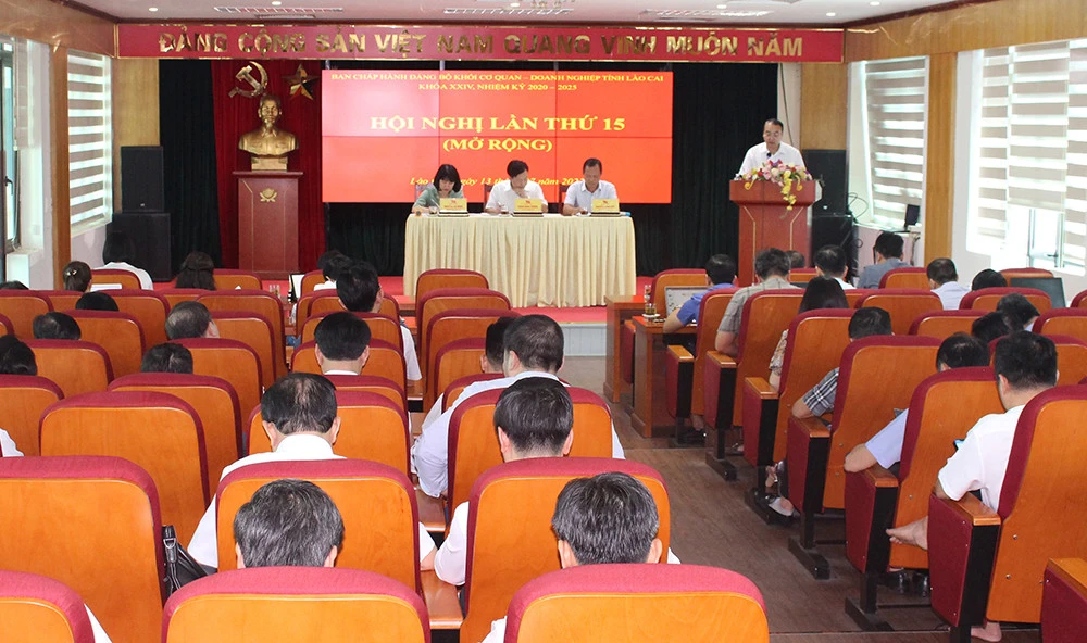 Xây dựng đội ngũ cán bộ, đảng viên Đảng bộ Khối Cơ quan - Doanh nghiệp tỉnh có tầm nhìn chiến lược ảnh 1