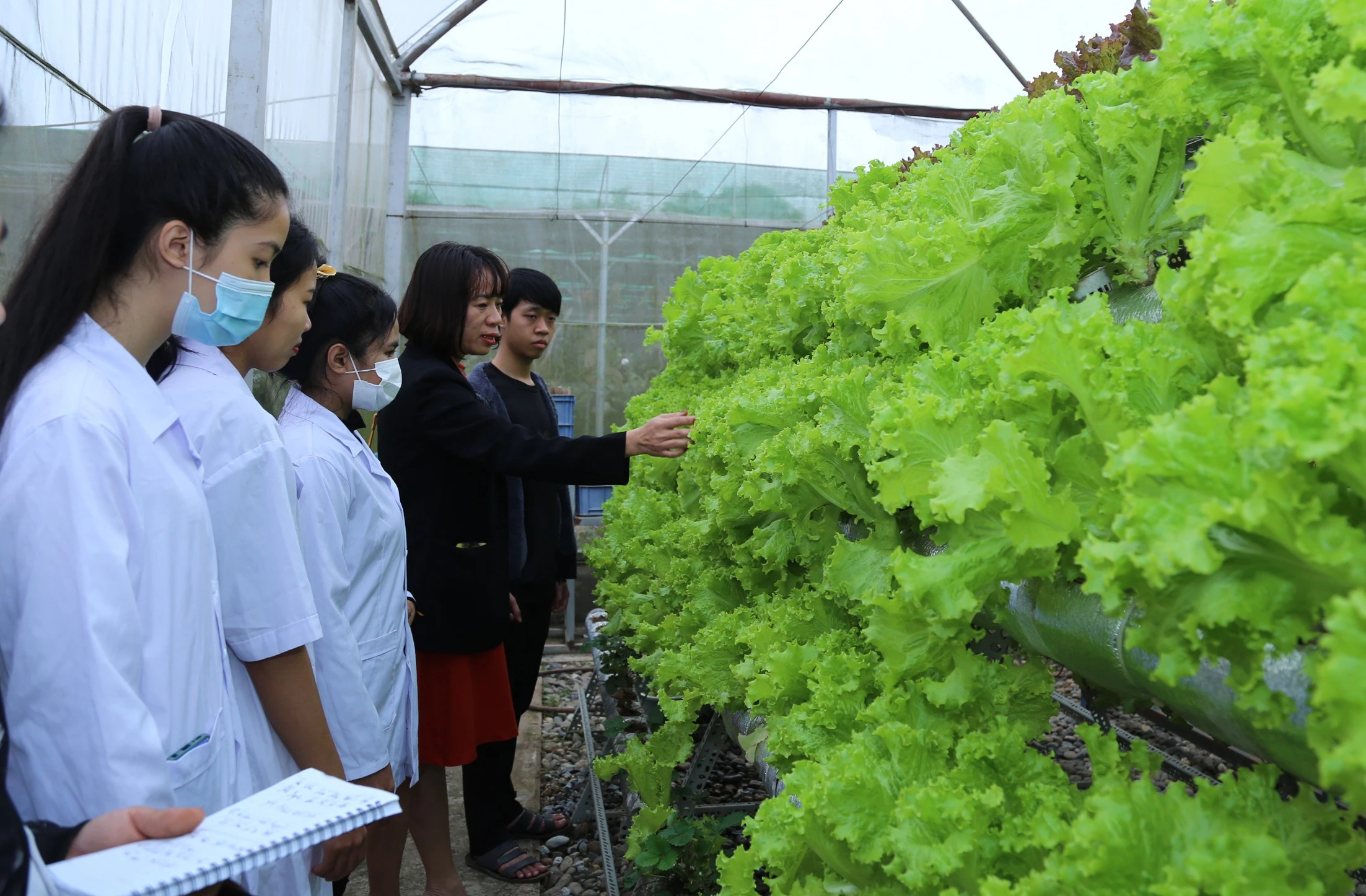 Các bạn sinh viên Lào và sinh viên Việt Nam tham quan mô hình trồng rau thủy canh.