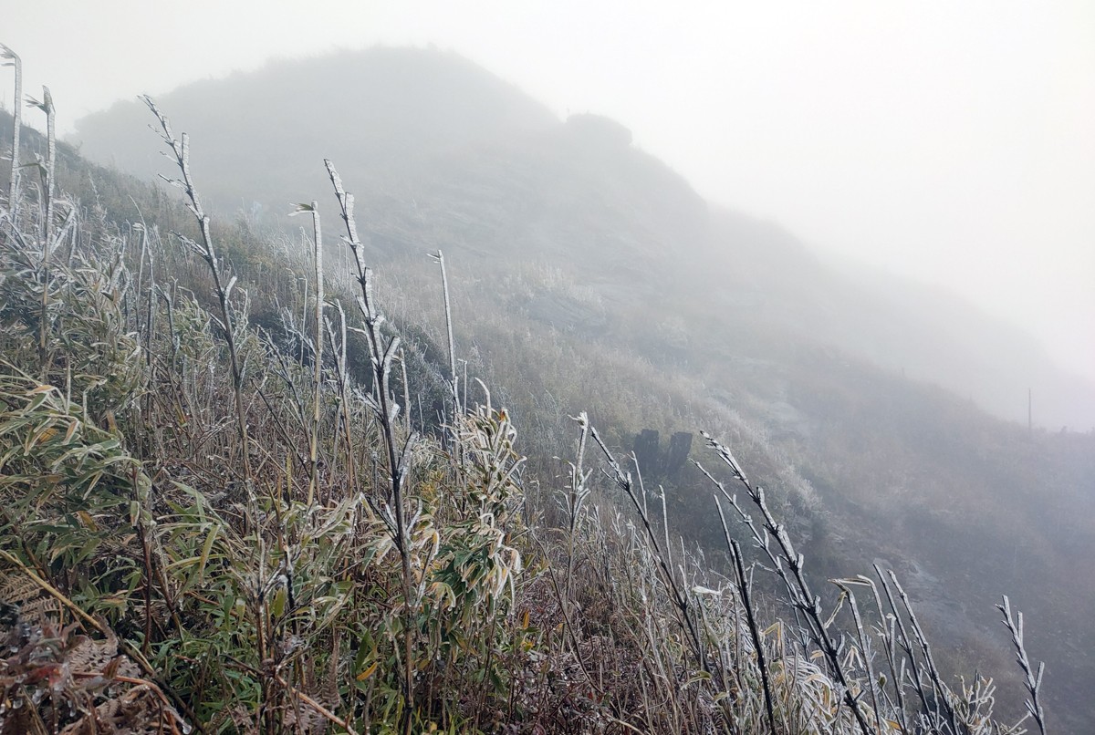 Từ sáng sớm 20/2, băng giá đã phủ kín đỉnh Lảo Thẩn.