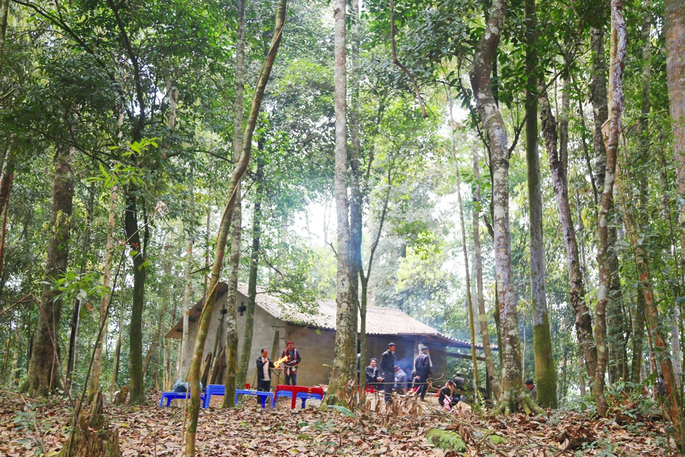 Đồng bào Dao đỏ xã Nậm Pung (huyện Bát Xát) làm lễ cúng rừng đầu năm.