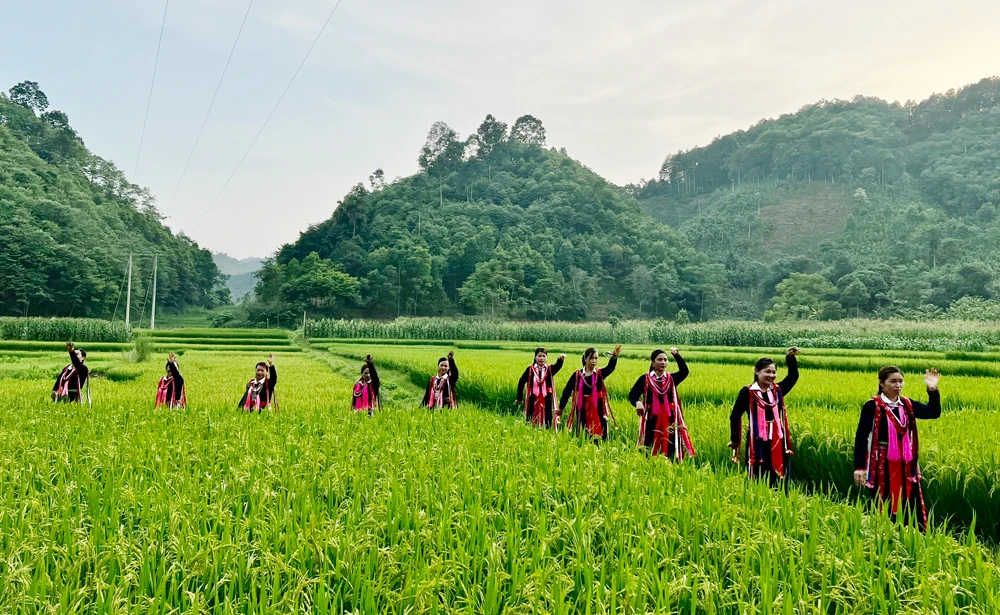 Đậm đà bản sắc văn hóa dân tộc qua hội thi dân vũ ảnh 8