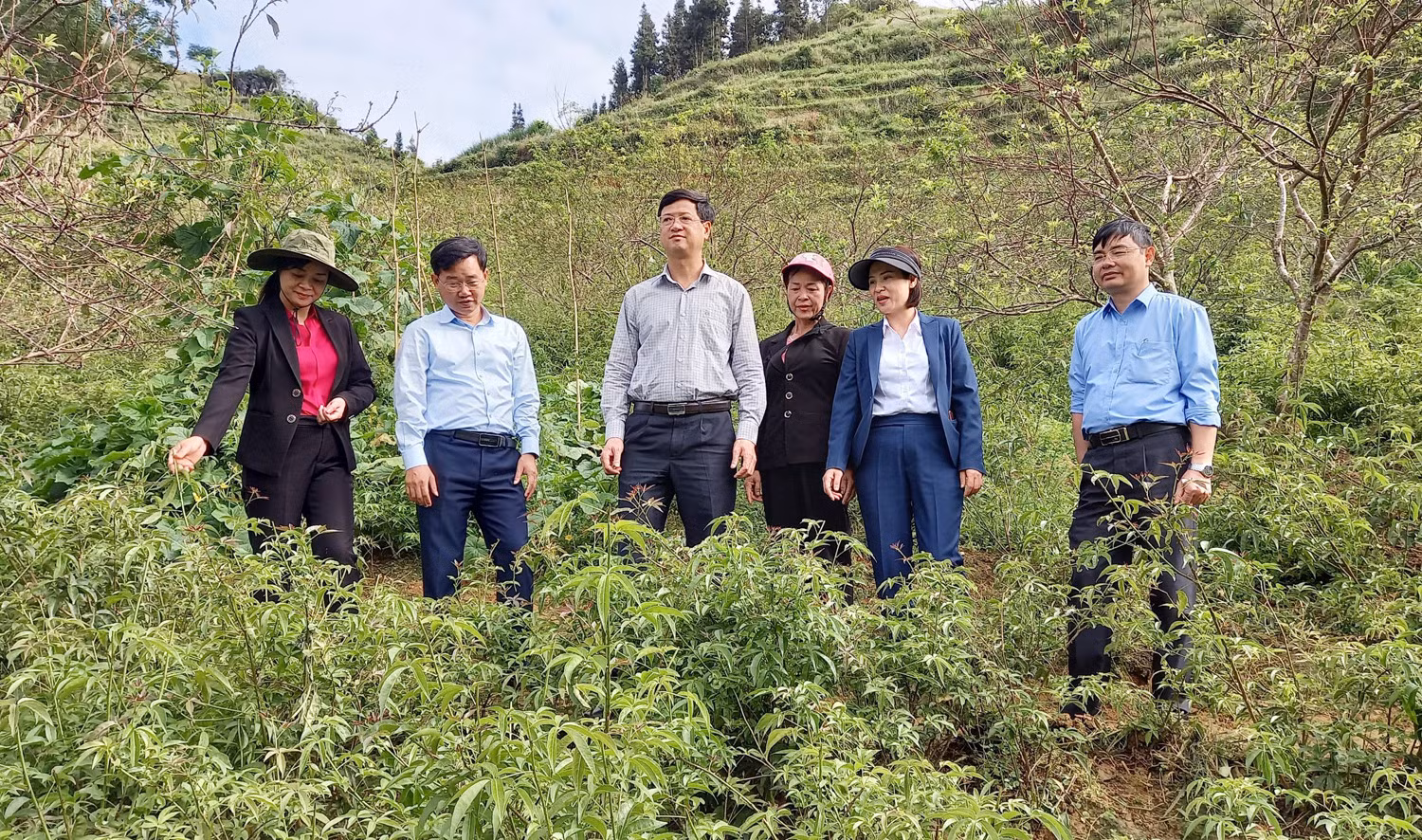 Chủ tịch Hội Nông dân tỉnh Bùi Quang Hưng thăm mô hình trồng cây dược liệu tại Bắc Hà.