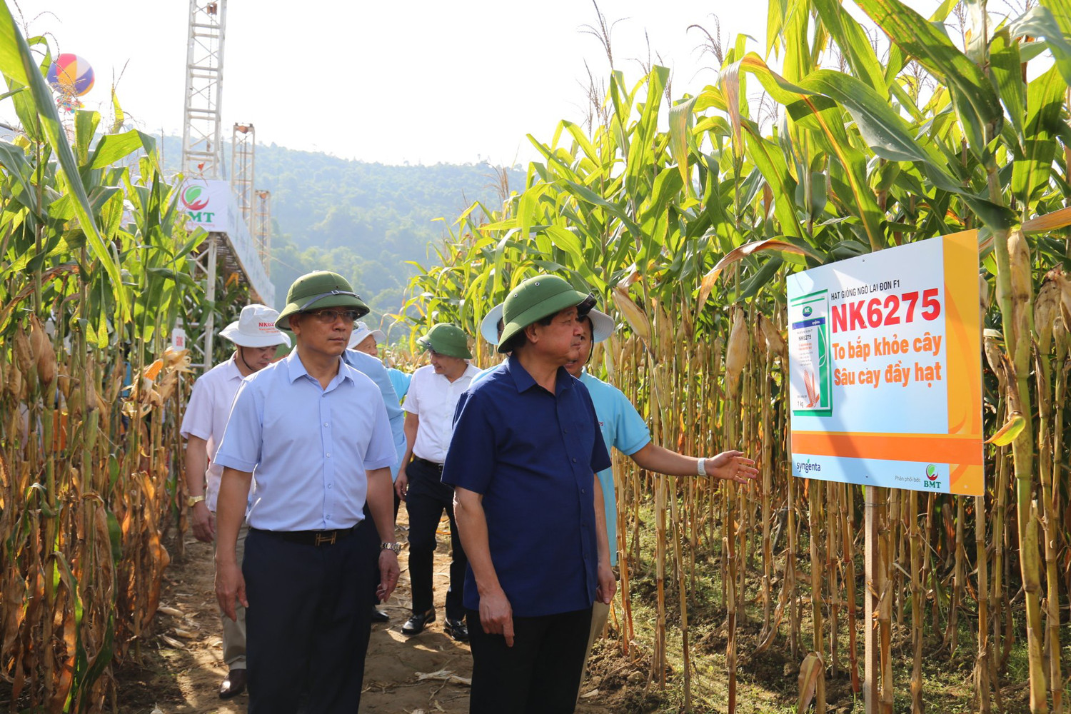 Các đại biểu tham quan mô hình thực địa tại Quang Kim.