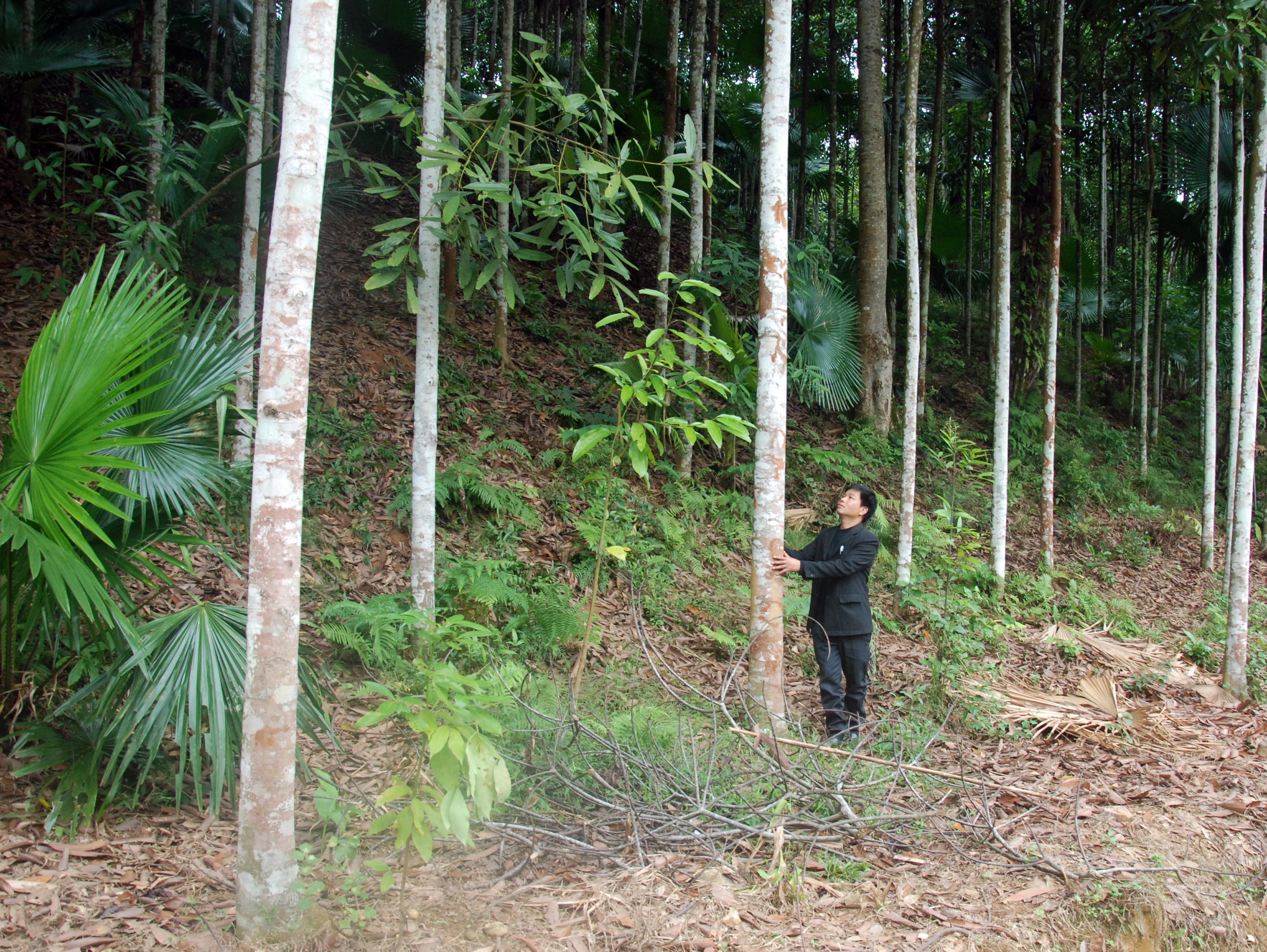 Vĩnh Yên chú trọng nâng cao thu nhập cho người dân ảnh 2