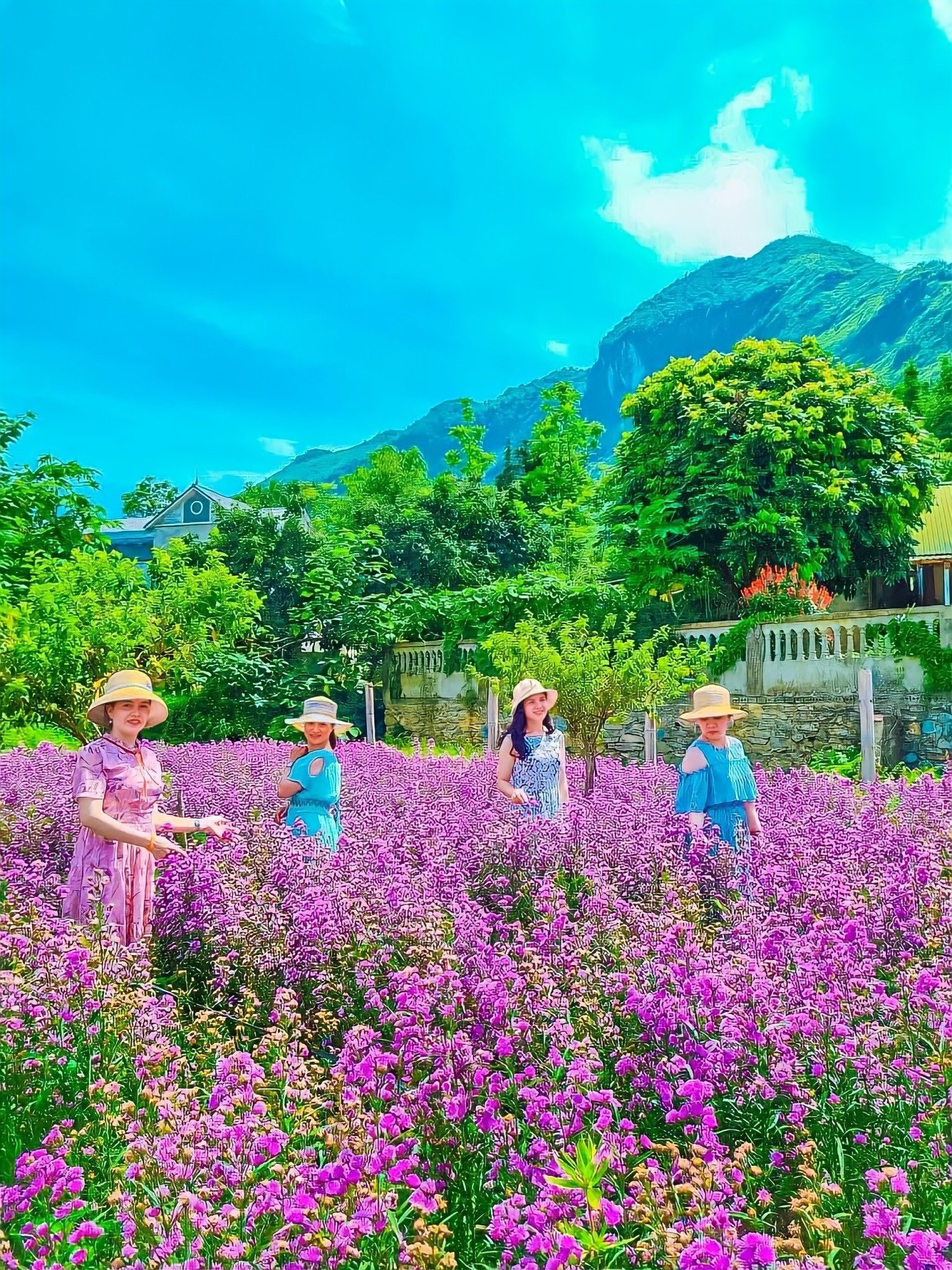 Mia’s Garden thu hút du khách bởi vườn hoa rực rỡ.