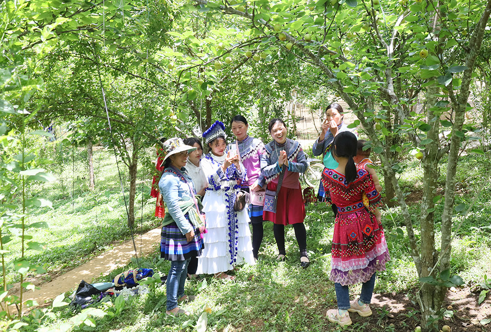 Rộn ràng Lễ hội mận Tả van huyện vùng cao Si Ma Cai ảnh 12