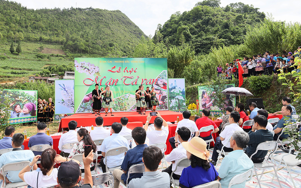 Rộn ràng Lễ hội mận Tả van huyện vùng cao Si Ma Cai ảnh 1