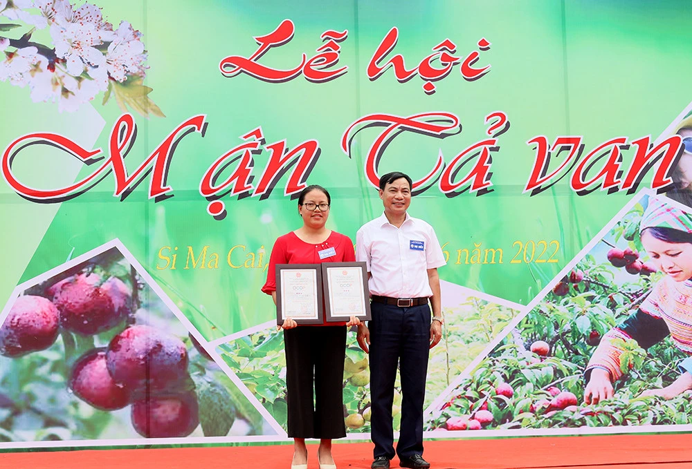 Rộn ràng Lễ hội mận Tả van huyện vùng cao Si Ma Cai ảnh 4