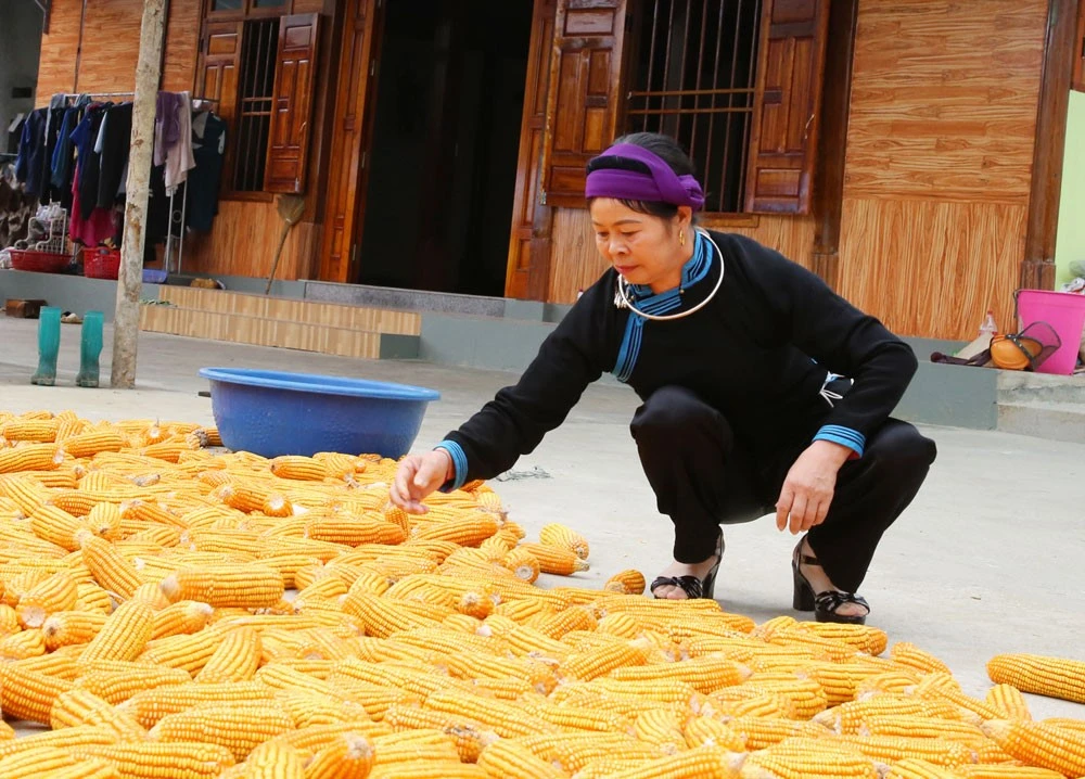 Phụ nữ vùng cao và câu chuyện quyền bình đẳng ảnh 2 Phụ nữ vùng cao và câu chuyện quyền bình đẳng ảnh 2