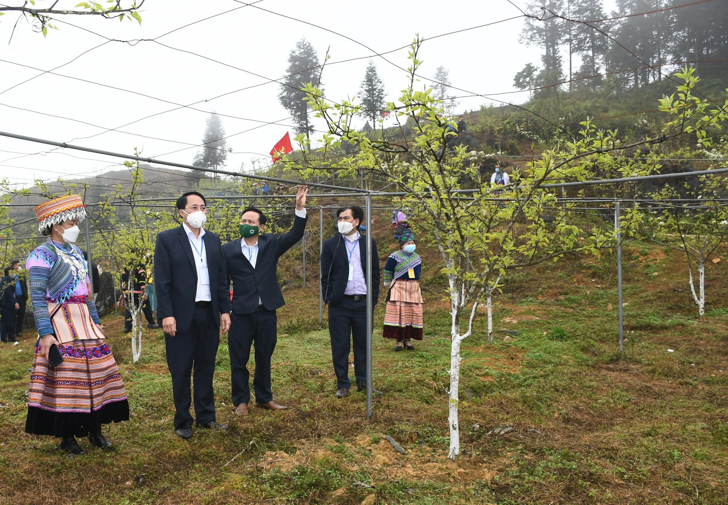 Si Ma Cai cần tập trung phát triển nông nghiệp, nông thôn và giải quyết việc làm ảnh 3