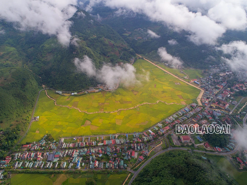 Mùa lúa chín&nbsp;Mường Khương -&nbsp;dải lụa vàng giữa đại ngàn biên ải ảnh 2